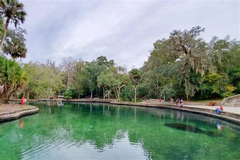 Wekiwa Springs State Park swimming near Orlando 🌴 Central Florida travel blog - Flashpacking America