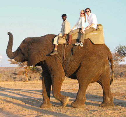 Elephant Rides in South Africa www.nubiantravelllc.com Elephant Ride ...