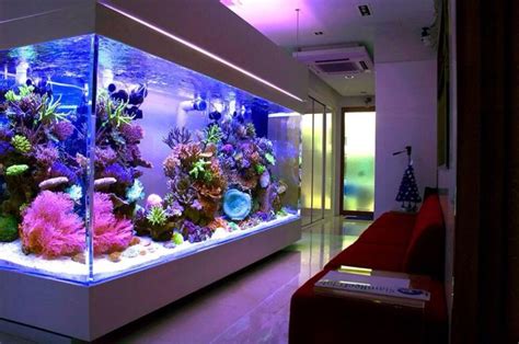 SALTWATER AQUARIUM MAINTENANCE SERVICE – DALLAS AQUARIUM EXPERTS