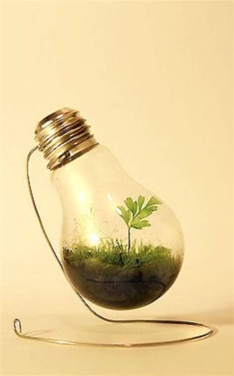 55 Simple Ideas for Adorable Terrariums - GODIYGO.COM | Light bulb terrarium, Old lights, Light ...