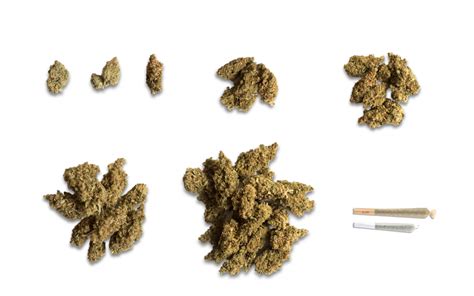 What Does One Gram of Cannabis Look Like? A Visual Guide to Cannabis Quantities | Leafly