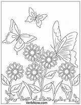 Free Butterfly Coloring Pages For Download Printable PDF sketch template