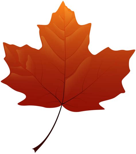 Fall leaves clip art png free png images