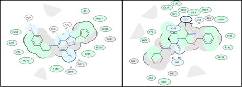 ICM User's Guide: 2D Ligand Interaction Diagram