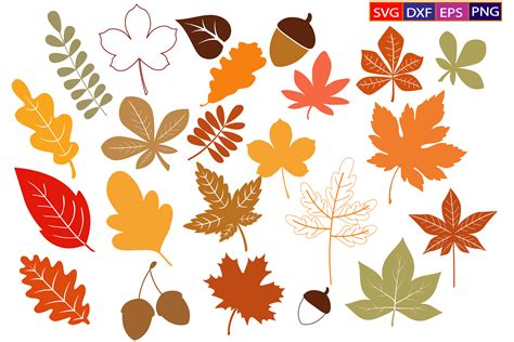 Fall Leaves SVG,Autumn Laves SVG Bundle Graphic by Dev Teching · Creative Fabrica