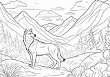 Wolf In The Mountain  Coloring Pages For Adults sketch template