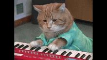 Keyboard Cat GIFs | Tenor