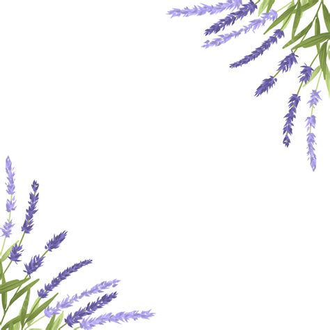 Lavender Watercolor Flowers PNG Image, Watercolor Lavender Flower Border, Border, Lavender ...