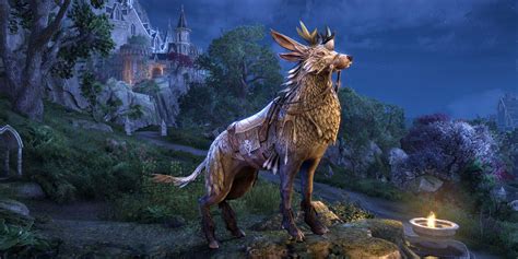 Elder Scrolls Online: How To Use A Mount