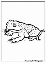 Toad Coloring Pages 100% Free Printables sketch template