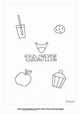 Sentidos Taste Worksheets Planningplaytime Worksheet Sentido Sorting  sketch template