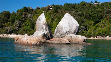 Abel Tasman Coast Track - Tasman, New Zealand - Tramposaurus • Tramposaurus