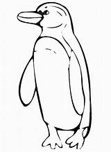 Penguins coloring Pages To Download And Print For Free sketch template