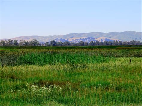 $37 Million Awarded In Habitat Restoration Projects