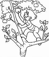 A Boy Climb An Apple Tree Coloring Page  Kids Play Color sketch template