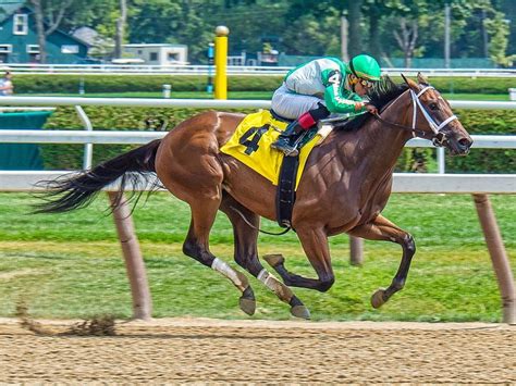 With $225,205 in Total Career Earnings, 4-Year-Old Colt Continues Its Winning Streak at ...