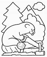Beaver coloring page Free And Online sketch template