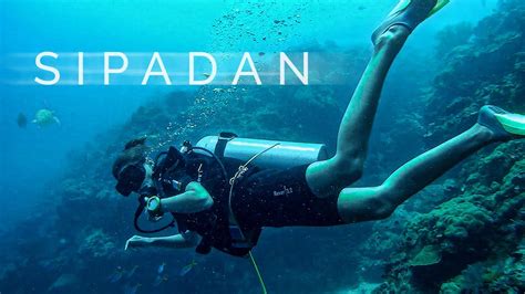 Diving Sipadan Island with Locals | Travel Borneo - YouTube