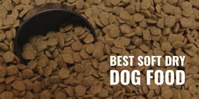 15 Best Soft Dry Dog Food – 2024 Reviews, Ingredients & Palatability