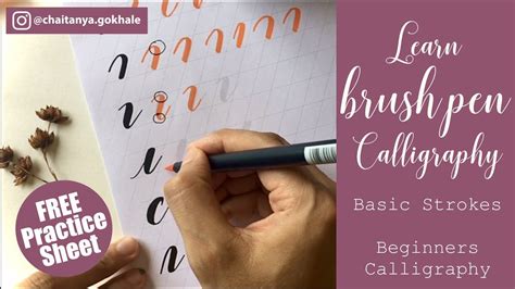 Hand Lettering: The Basic Brush Strokes Amy Latta Creations | atelier-yuwa.ciao.jp