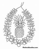 Pineapple Coloring Pages Free Printable PDF Templates  Life Should sketch template