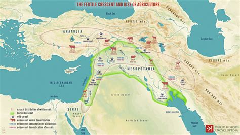 Agriculture in the Fertile Crescent & Mesopotamia - World History Encyclopedia