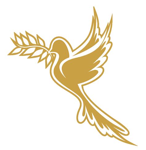 Columbidae Flight Bird Doves As Symbols Clip Art Gold - vrogue.co