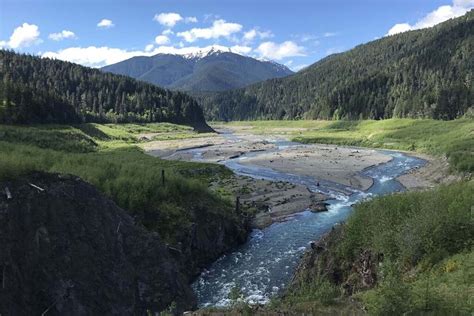 Elwha River Restoration: Revegetating the Elwha - NOPLE