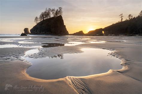 Second Beach Olympic National Park - Alan Crowe Photography