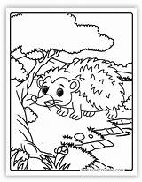 38 Porcupine Coloring Pages Free PDF Printables  Simply Love sketch template