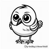 Mockingbird Coloring Pages  Free & Printable sketch template