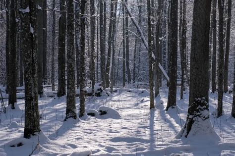 Discover wonderful Poland in winter: Where to go and what to do ...