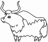 44 Yak Coloring Pages  ColoringPagesOnlycom sketch template