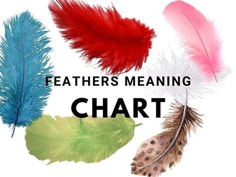 Feather Meanings Colour Chart and Guide | KarinasTarot.com