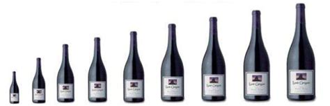 Wine 101: Wine Bottle sizes and names – Winerabble