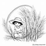 Rice Coloring Pages  Free & Printable sketch template