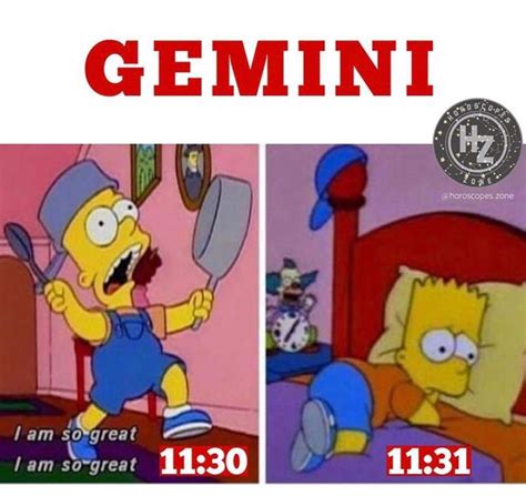 15 Gemini Season Memes to Wish Your Favorite Air Sign a Happy Birthday