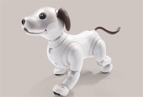 Sony Relaunches Aibo, the $2,899 Robotic Dog With A.I. Capability | Inverse