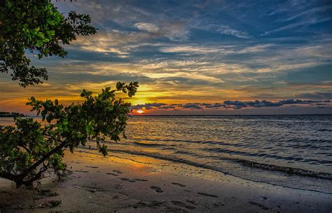 Tampa Bay Sunset Photograph by Todd Wise - Fine Art America