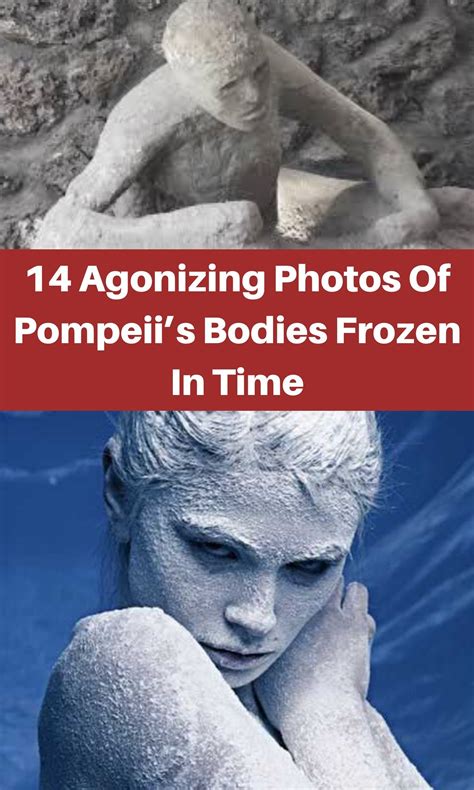 14 Agonizing Photos Of Pompeii’s Bodies Frozen In Time | Animals ...