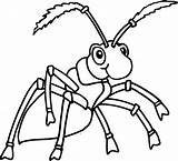 Ant Coloring Book Pages sketch template