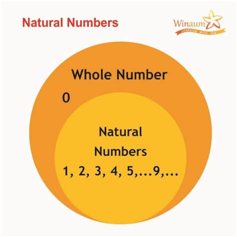 Natural Numbers | Definition | Examples | Properties -Winaum Learning