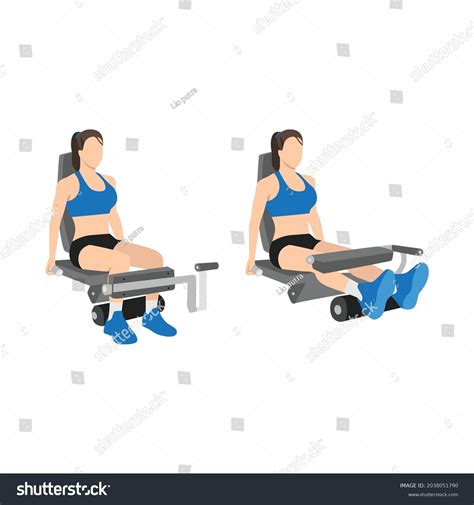 Woman Doing Seated Leg Curls Exercise: เวกเตอร์สต็อก (ปลอดค่าลิขสิทธิ์) 2038051790 | Shutterstock