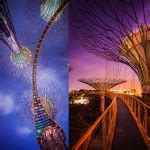 Singapore Gardens by Grove Supertree Garden - What Kate Wore