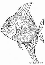Thunfisch Ausmalbild » Gratis Ausdrucken & Ausmalen Artus Art sketch template