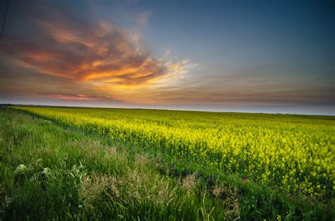 2736x1824 resolution | green field during sunset HD wallpaper ...