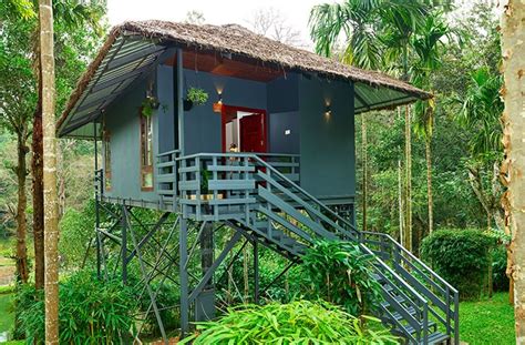 Luxury Resort in Wayanad - Book The Woods Resorts, Kerala