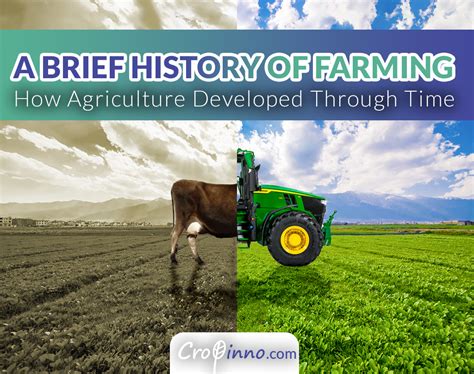 A Brief History of Farming – Cropinno | AI Powered Crop Innovations