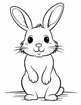 75 Animal Coloring Pages Free Fun Sheets sketch template