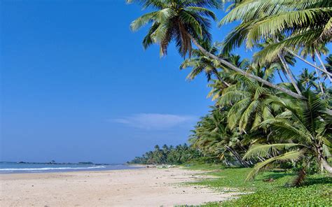 Matara Beach / South / Sri Lanka // World Beach Guide